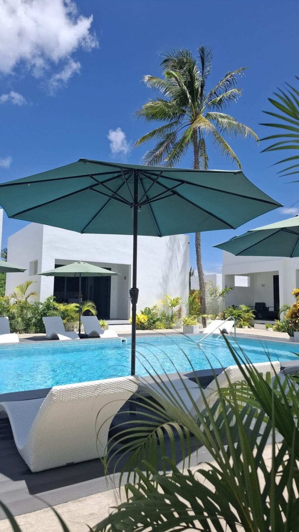 Coco Del Rey Moalboal