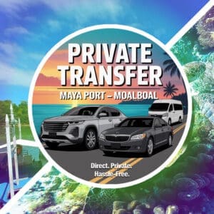 Effortless Private Transfer: A Comfortable Journey from Maya Port to Moalboal